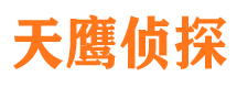 托克托侦探公司